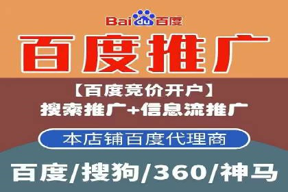 SEO与百度推广结合的营销策略——经典案例解析